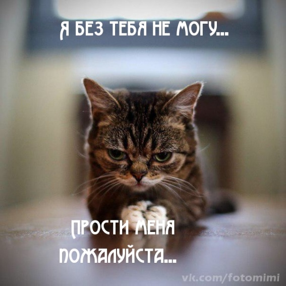 Прости меня пожалуйста