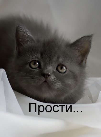 Извини меня пожалуйста.