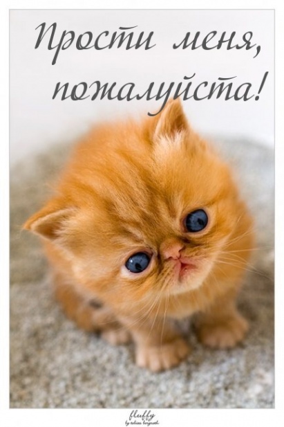 Прости меня, пожалуйста!