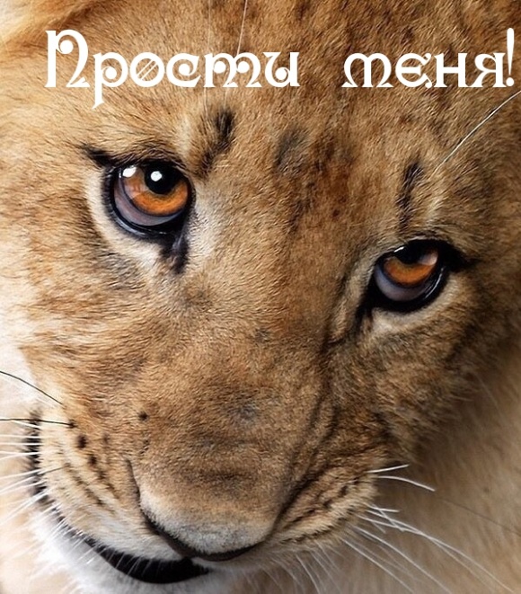 Прости меня
