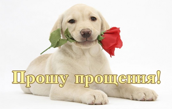 Прошу прощения!