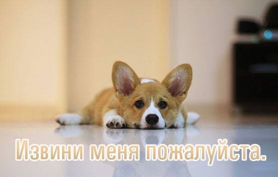 Извини меня пожалуйста.