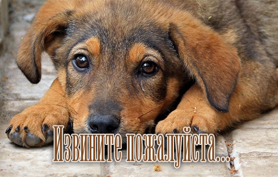 Извини меня пожалуйста.