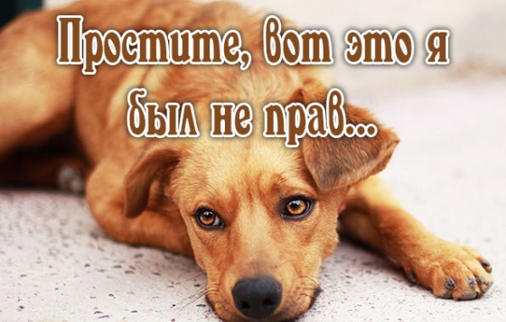 Кажись я виноват, признаю...