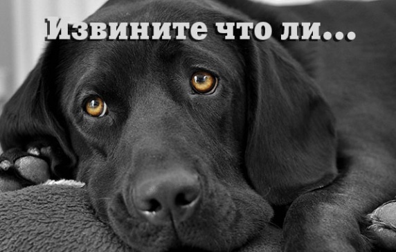 Извините что ли...