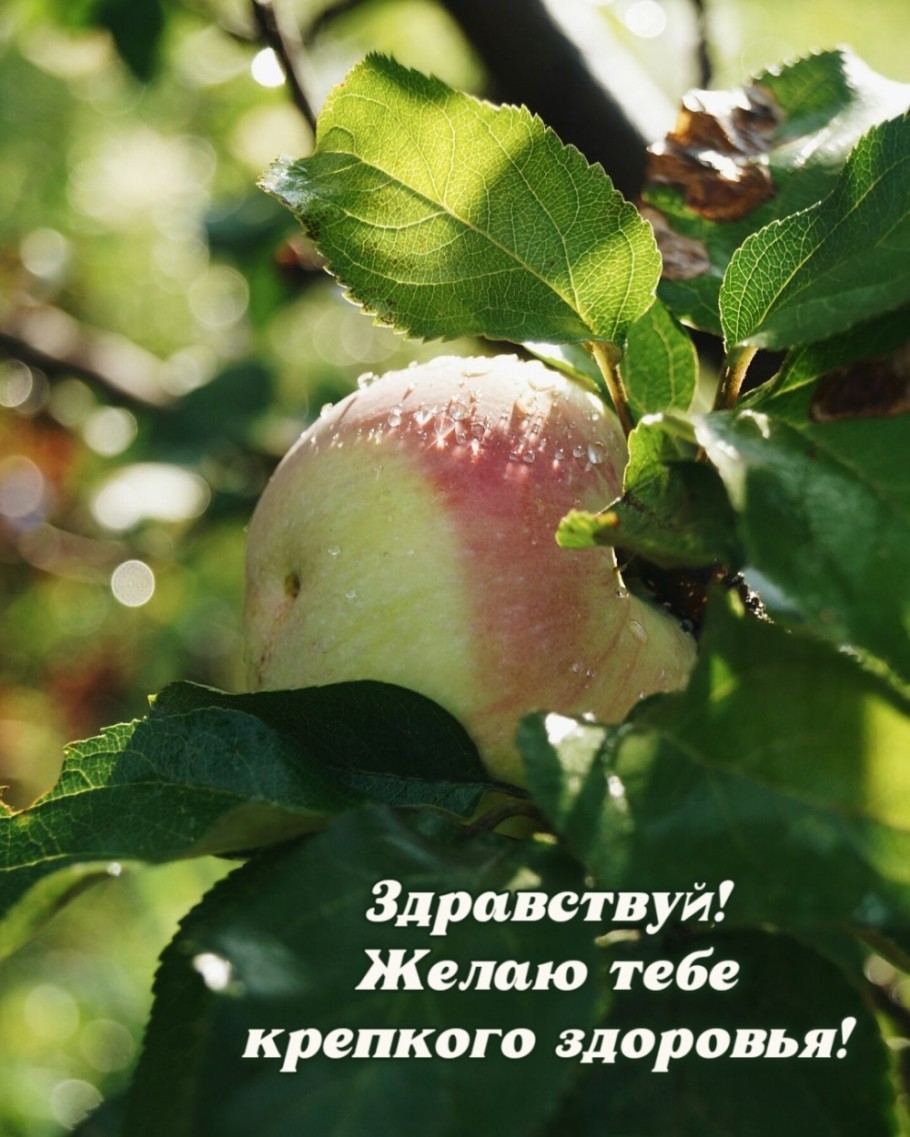 Здравствуй. Желаю крепкого здоровья