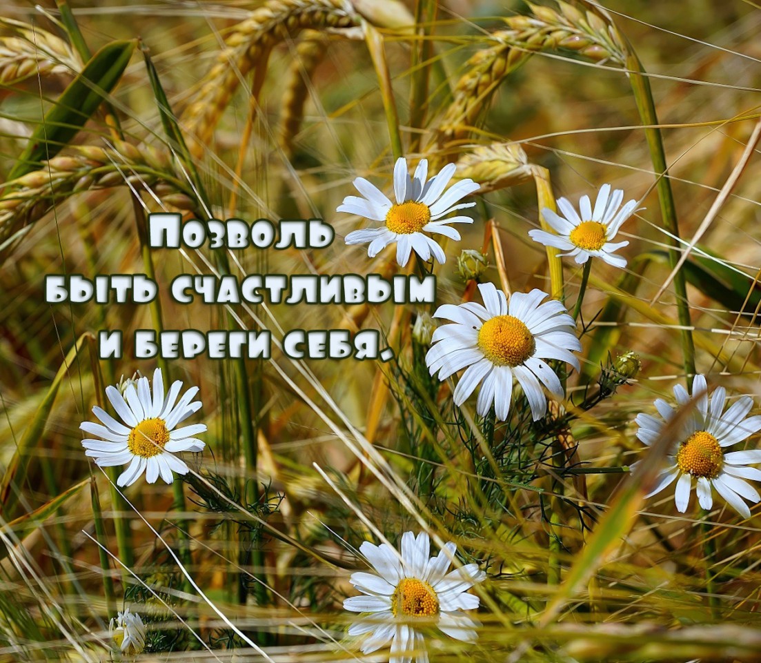 Позволь быть счастливым и береги себя.