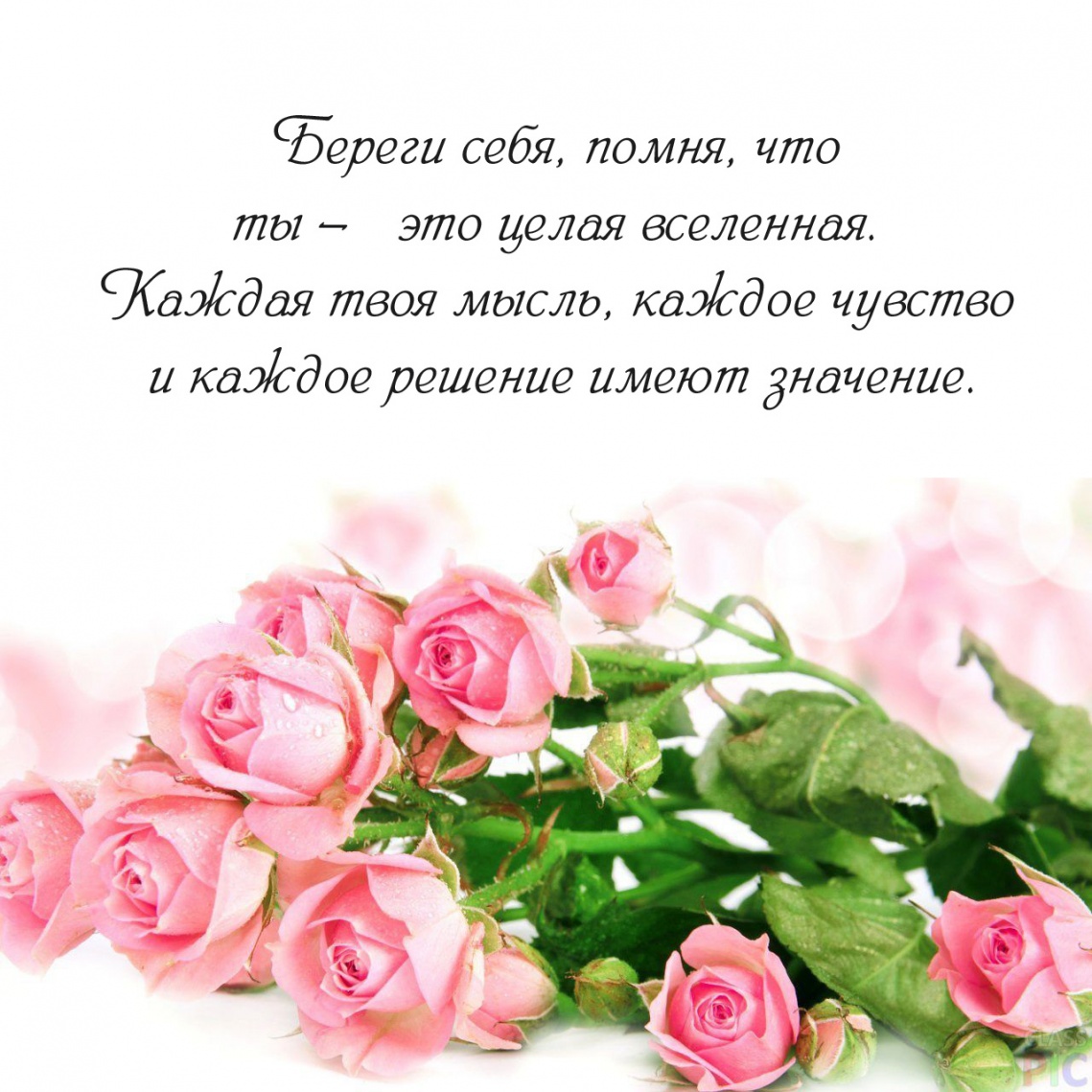 Береги себя, помня, что ты — это целая вселенная.