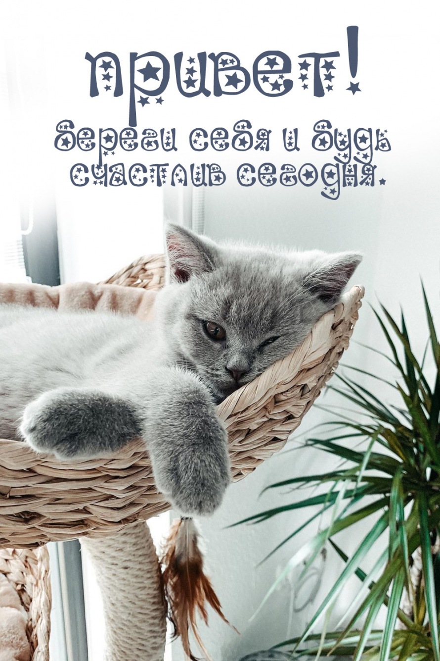 Береги себя и будь счастлив сегодня.