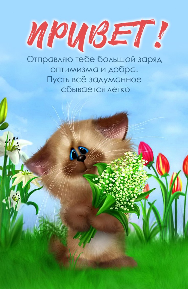 Отправляю тебе самый тёплый привет