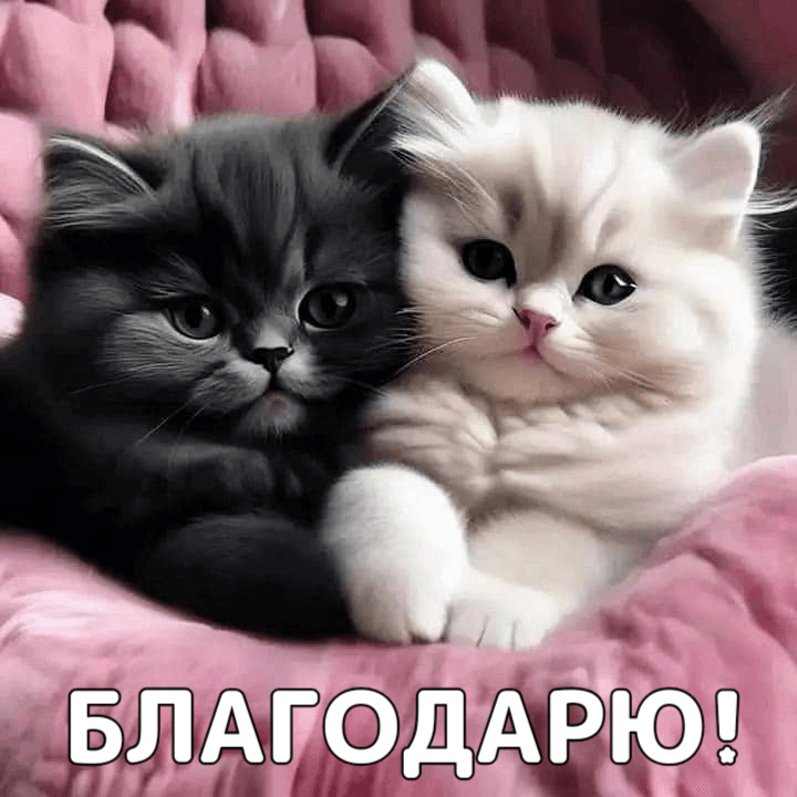 Спасибо большое-пребольшое!