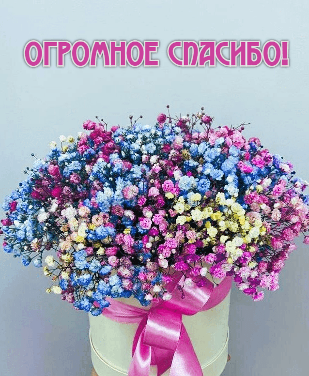 Огромное спасибо