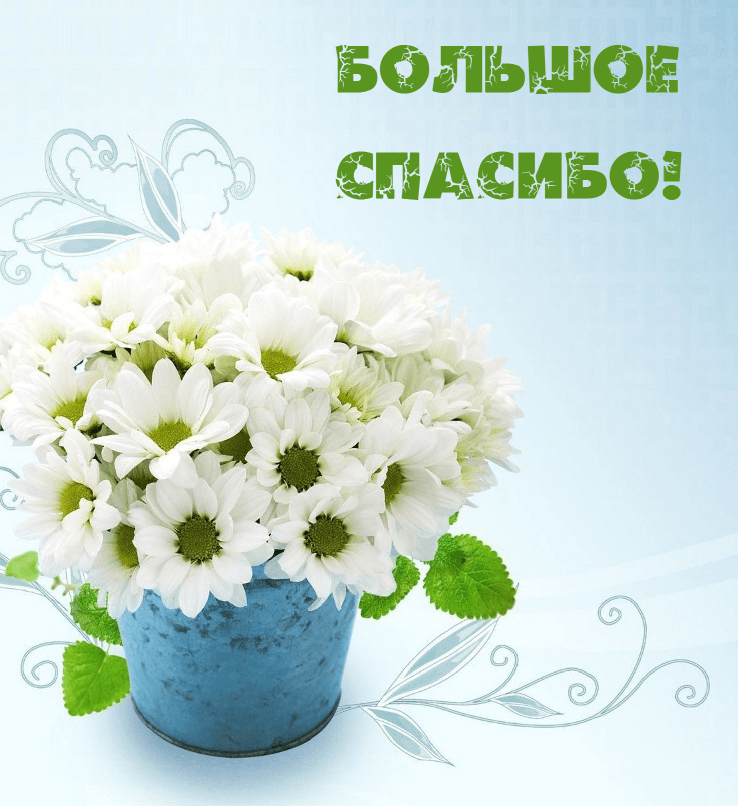 Большое спасибо