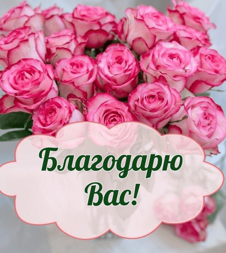 Благодарю