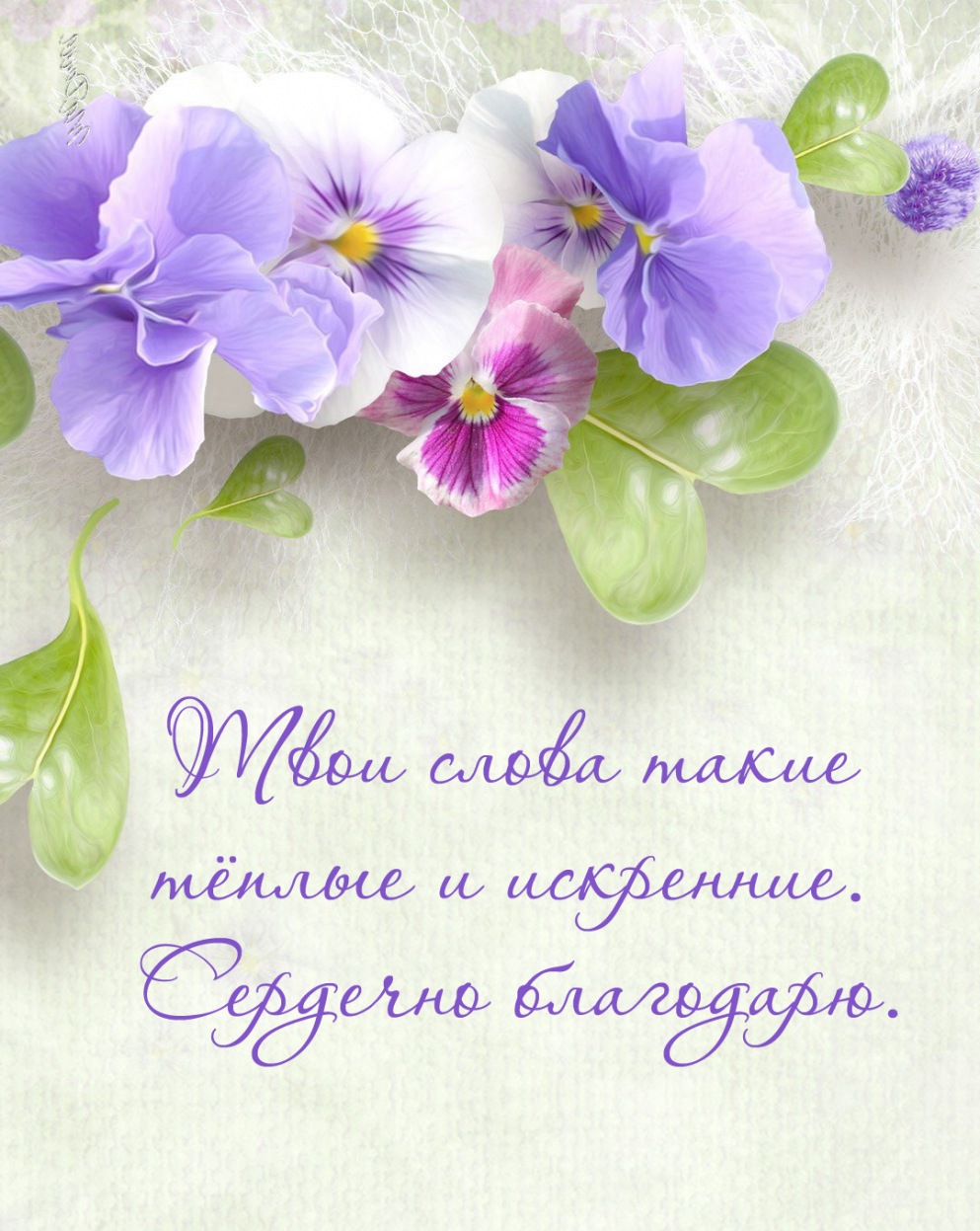 Твои слова такие тёплые и искренние.