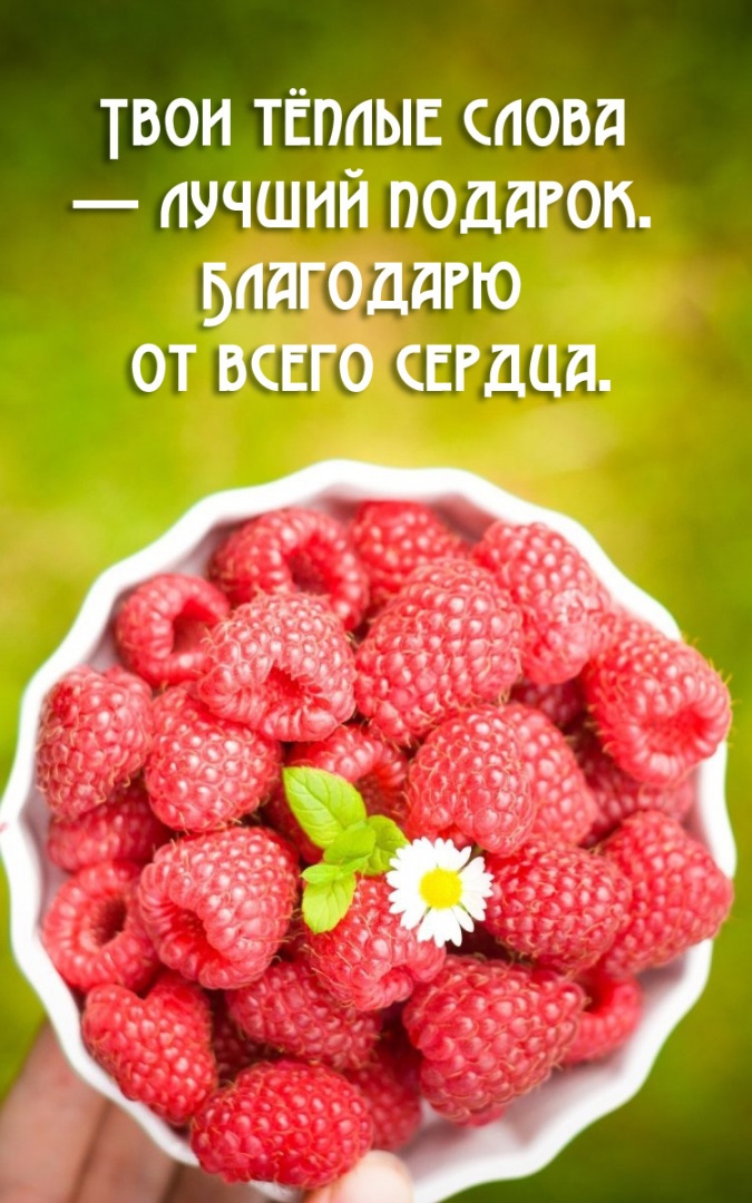 Твои тёплые слова — лучший подарок.
