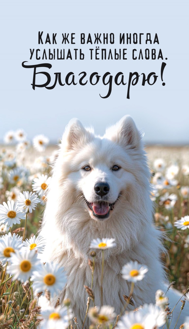 Как же важно иногда услышать тёплые слова.