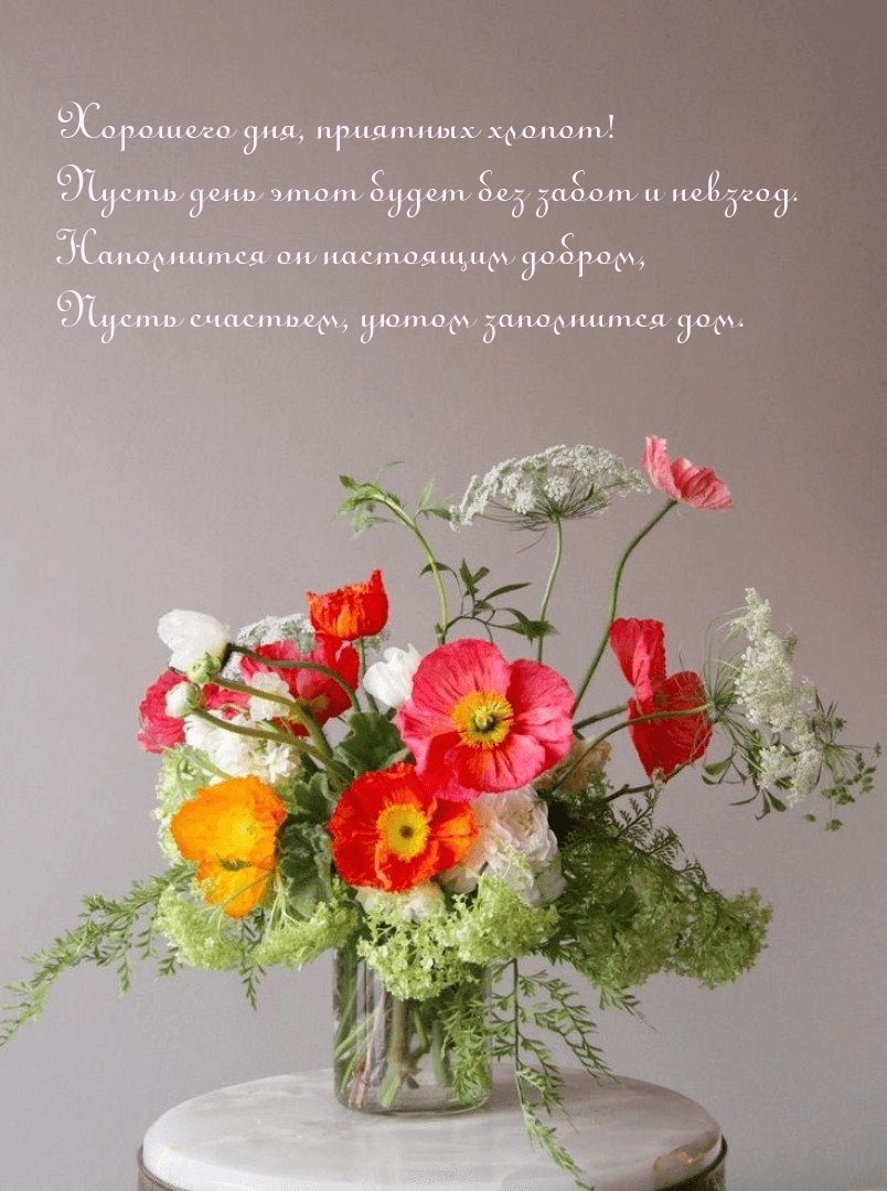 Хорошего дня, приятных хлопот! Пусть день этот будет без забот и невзгод.