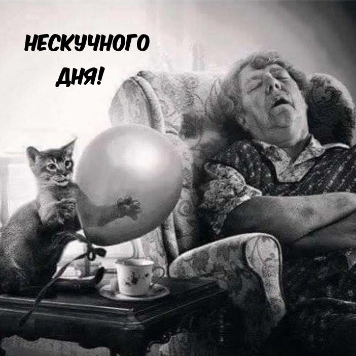 Нескучного Дня!