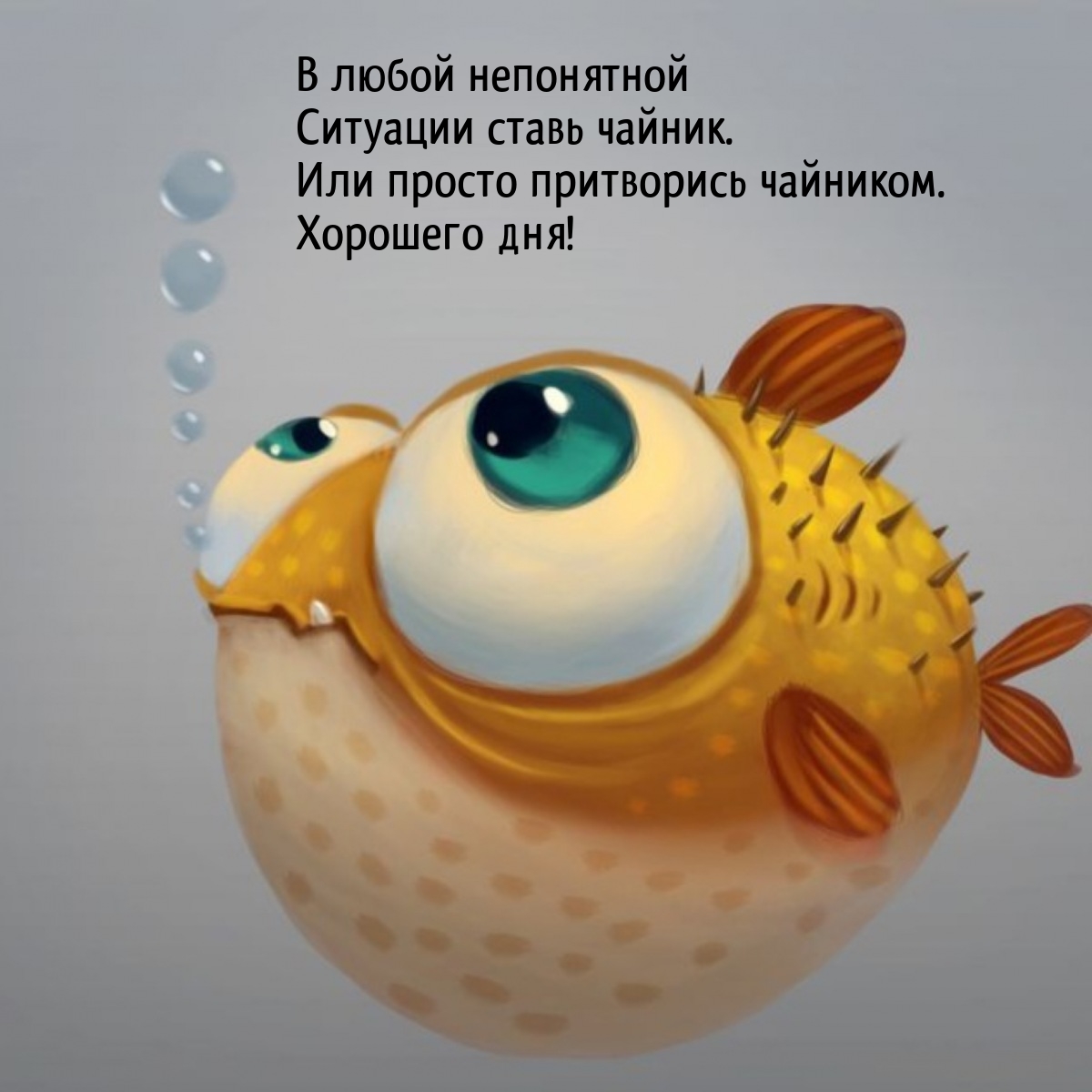 Хорошего дня! В любой непонятной ситуации ставь чайник.