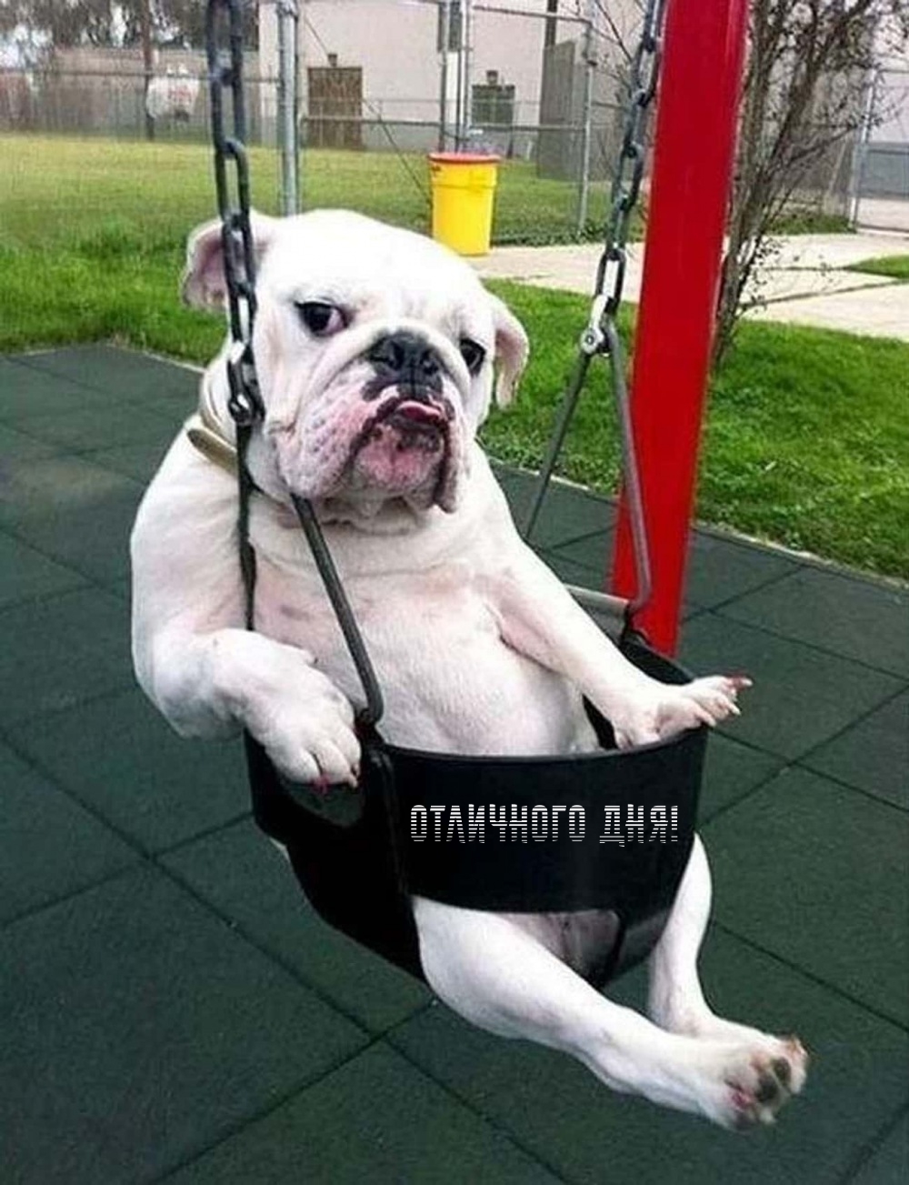 Отличного дня!