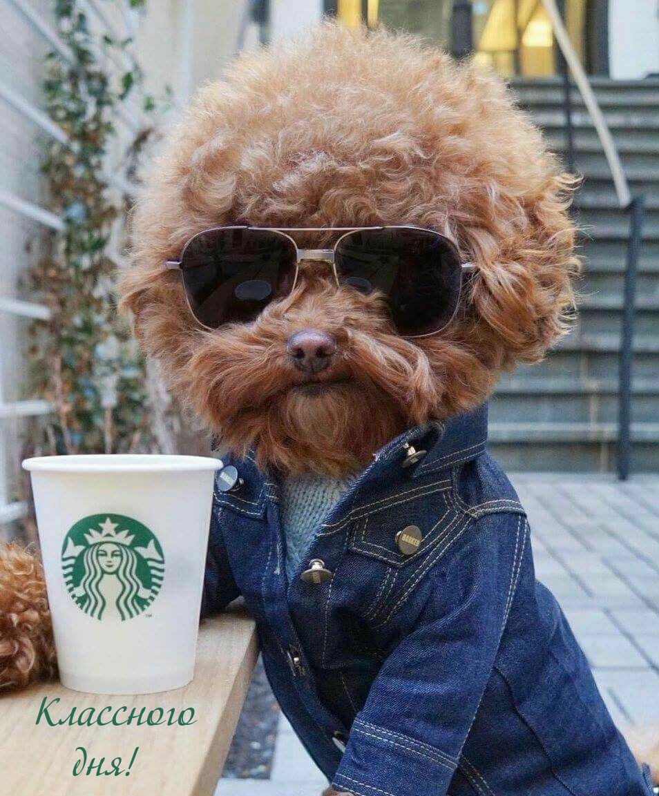 Классного дня!