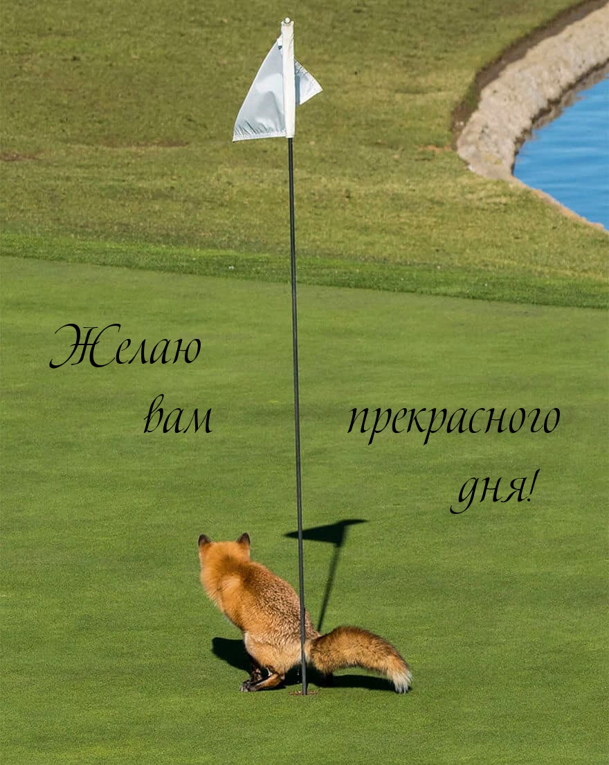Желаю вам прекрасного дня!