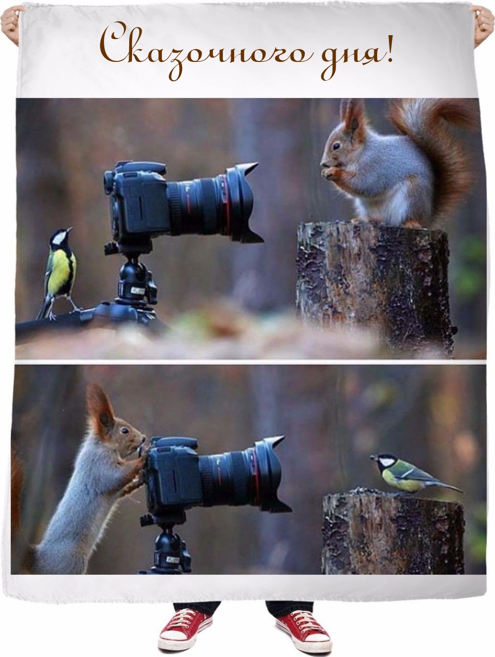 Сказочного дня!