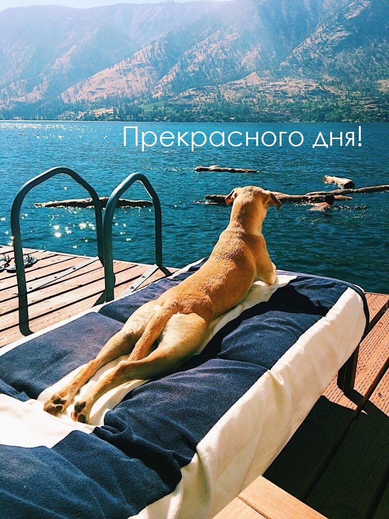 Прекрасного дня!