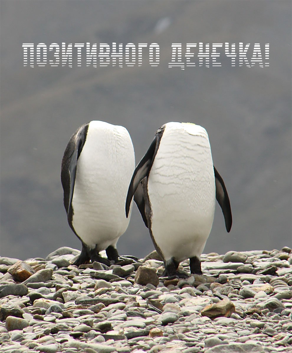Позитивного денечка!