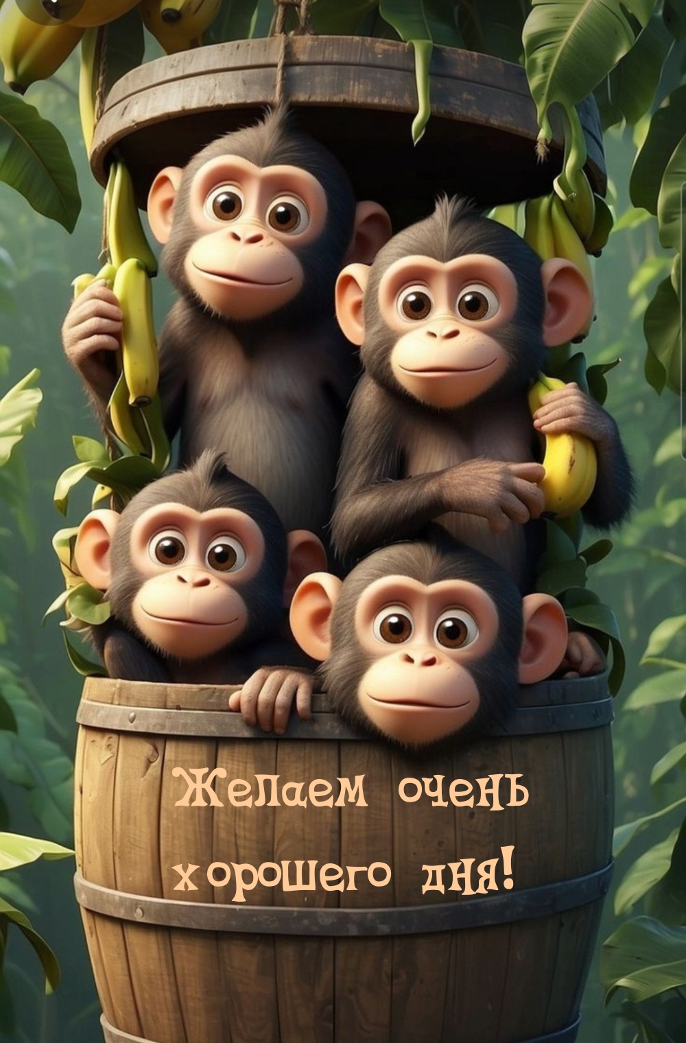 Желаем очень хорошего дня!