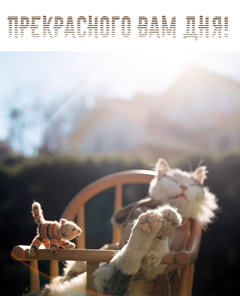 Прекрасного вам дня!