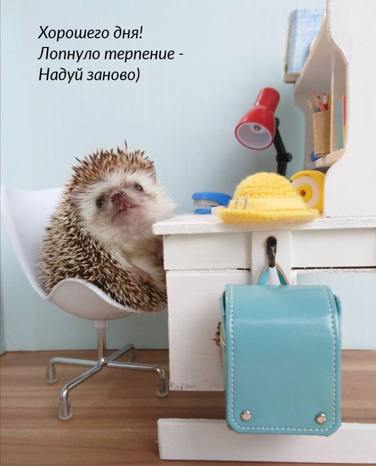 Хорошего дня! Лопнуло терпение - Надуй заново)