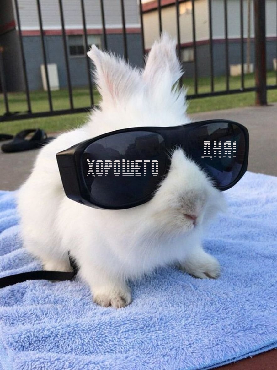 Хорошего дня! 