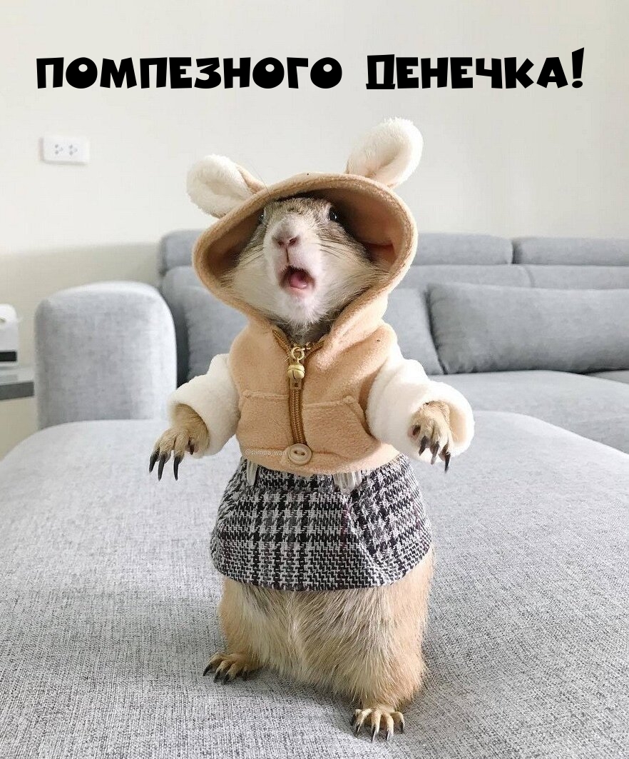 Помпезного денечка!