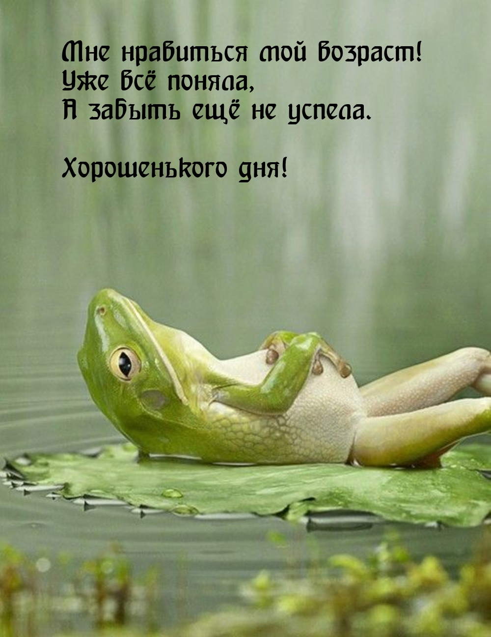 Уже всё поняла, а забыть ещё не успела. Хорошенького дня!