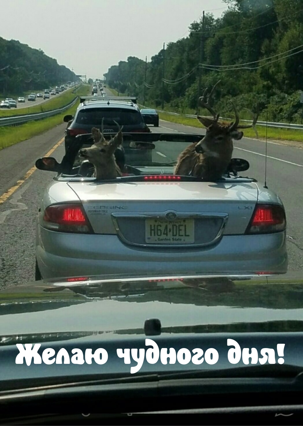 Желаю чудного дня!