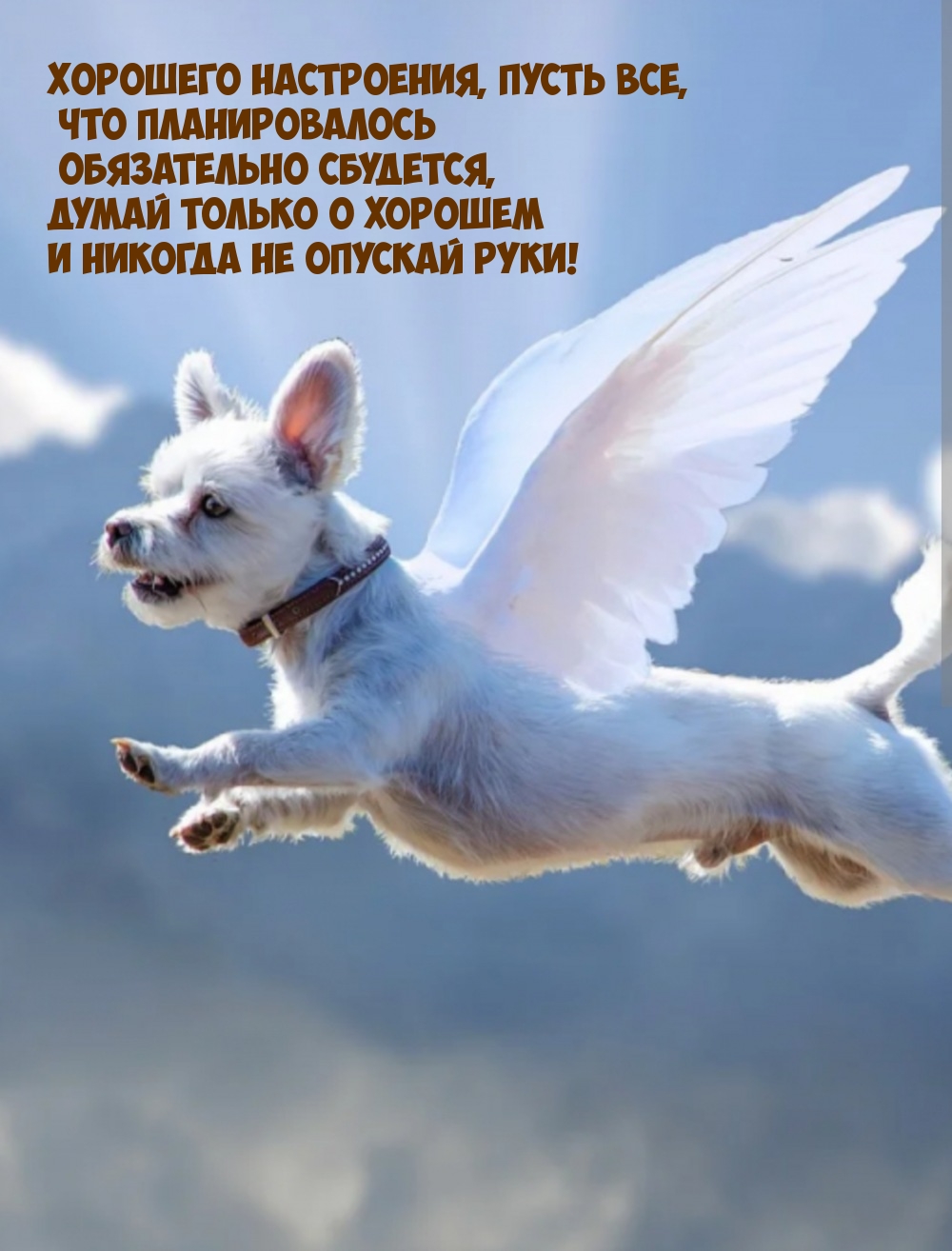 Хорошего настроения, пусть все, что планировалось сбудется