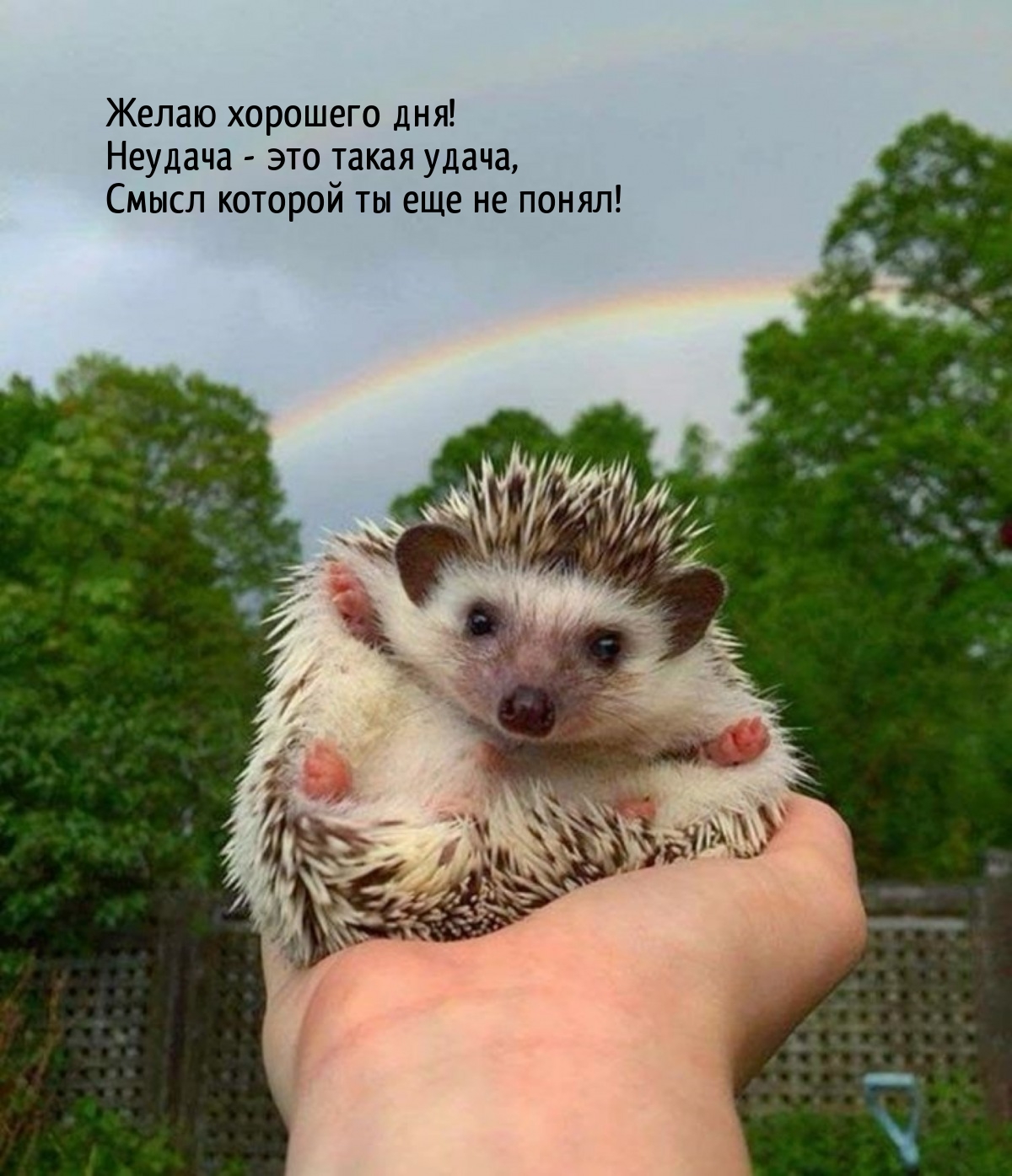 Желаю хорошего дня! Неудача - это такая удача