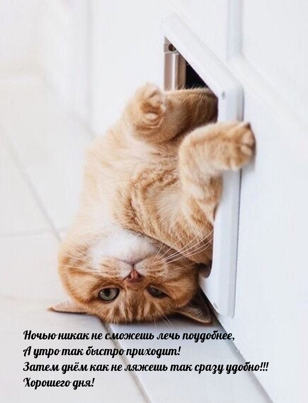 Хорошего дня! Ночью никак не сможешь лечь поудобнее
