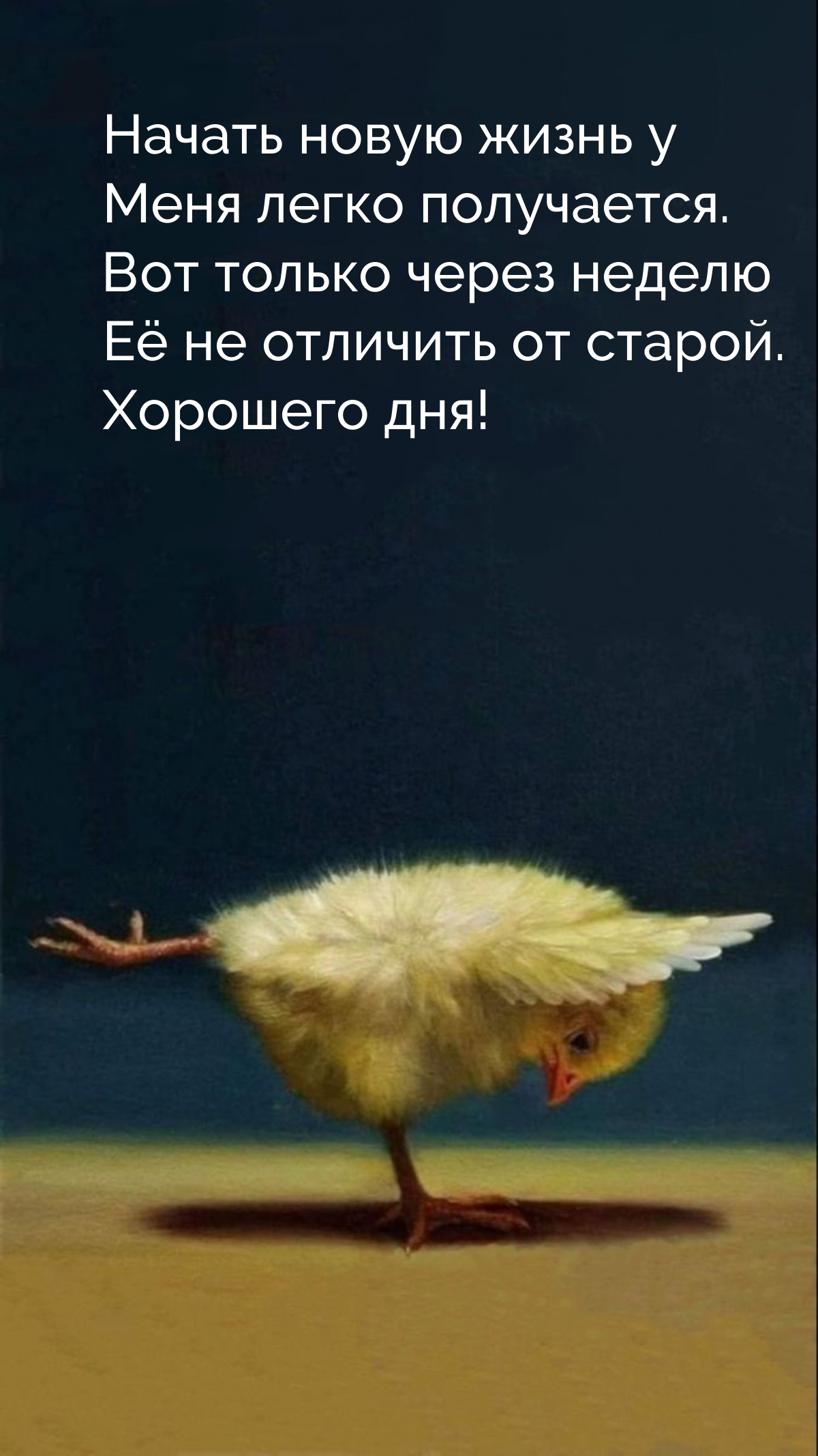 Начать новую жизнь у меня легко получается. Хорошего дня!