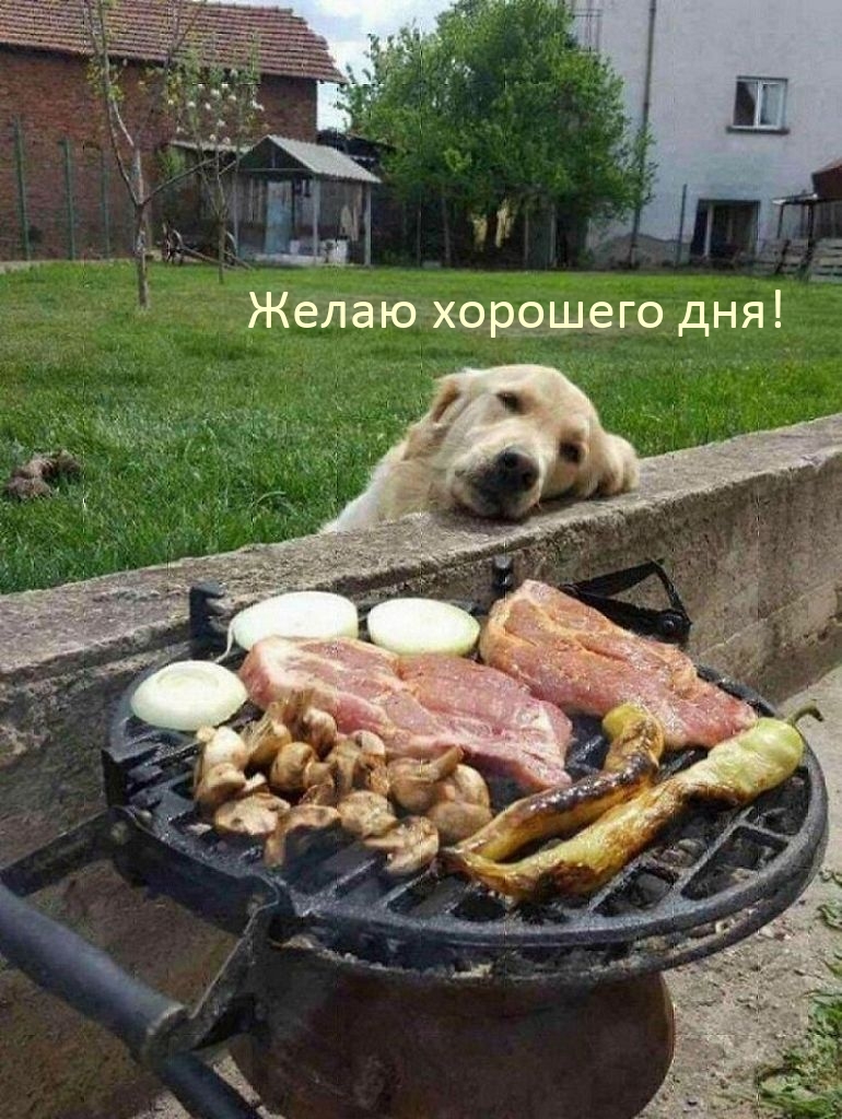 Желаю хорошего дня!