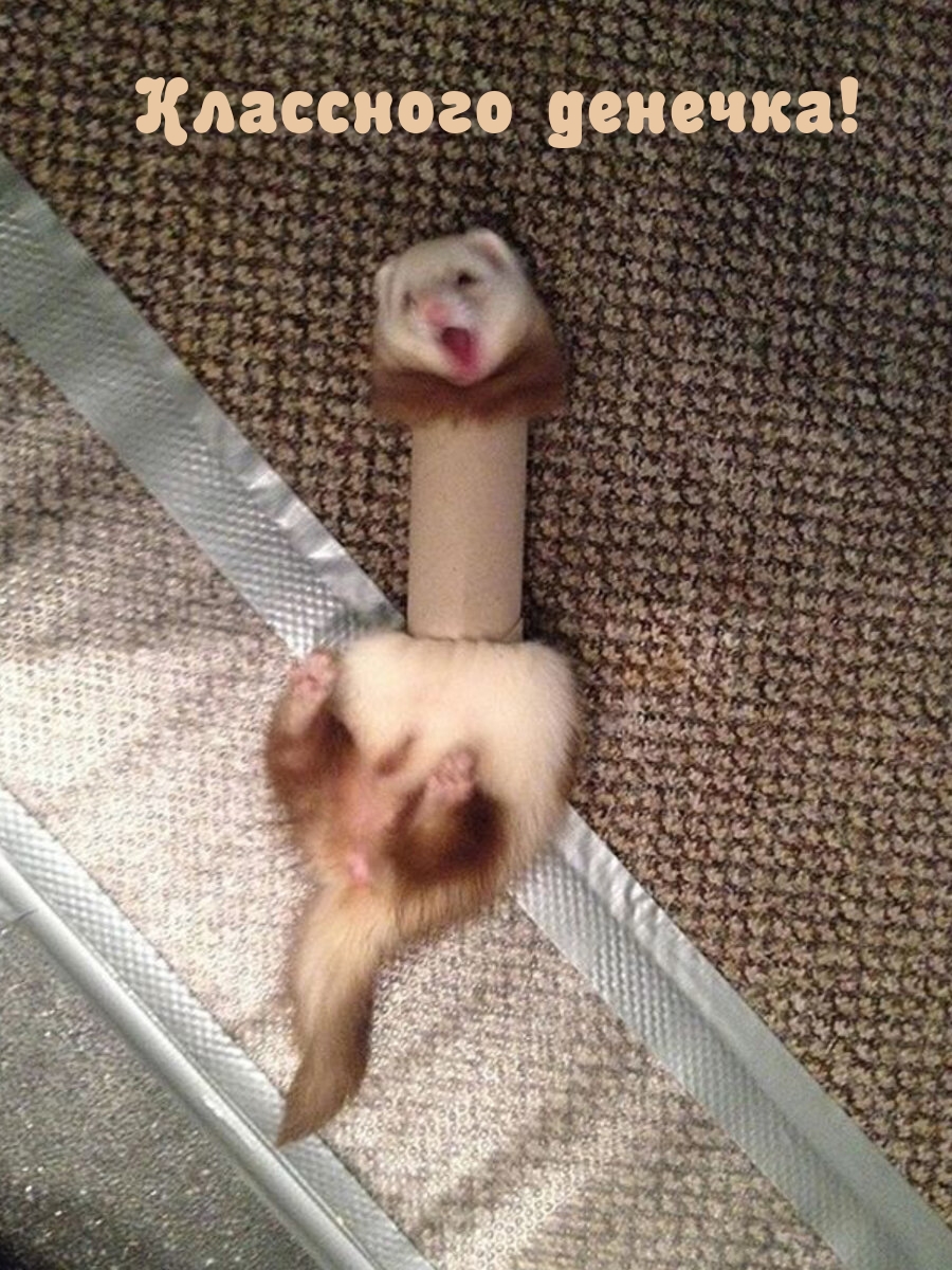 Классного денечка!