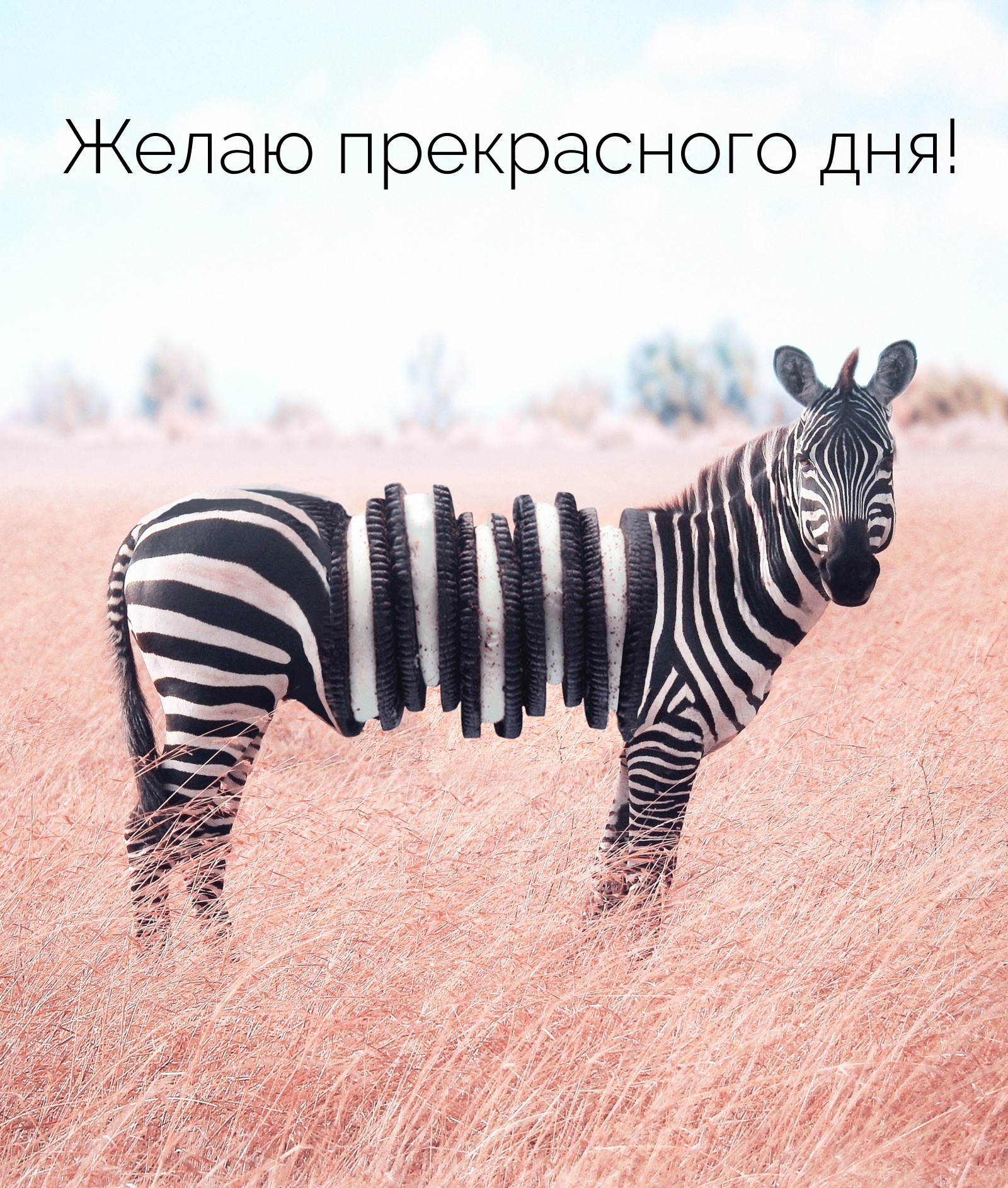 Желаю прекрасного дня!