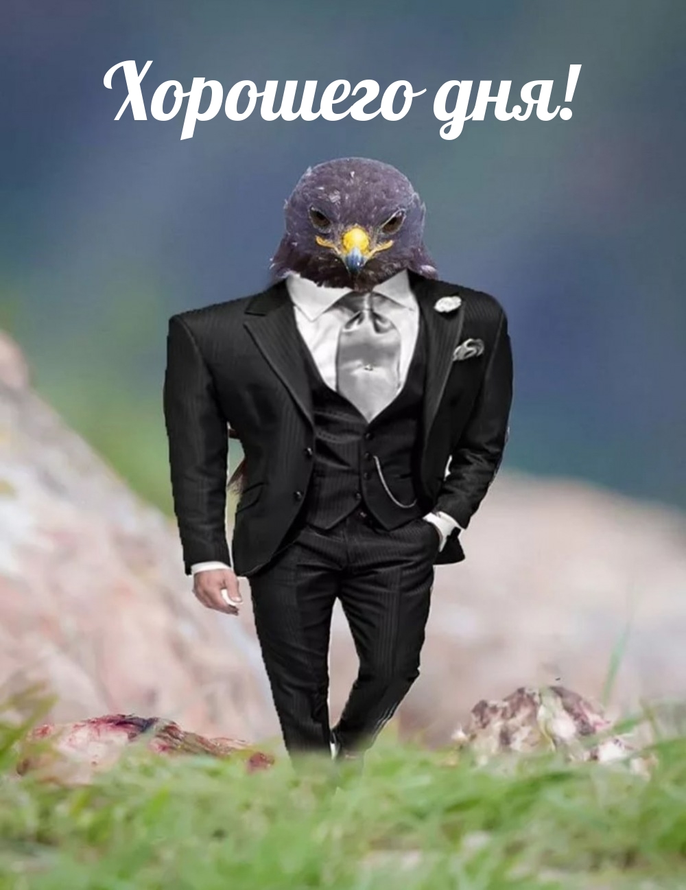 Хорошего дня!