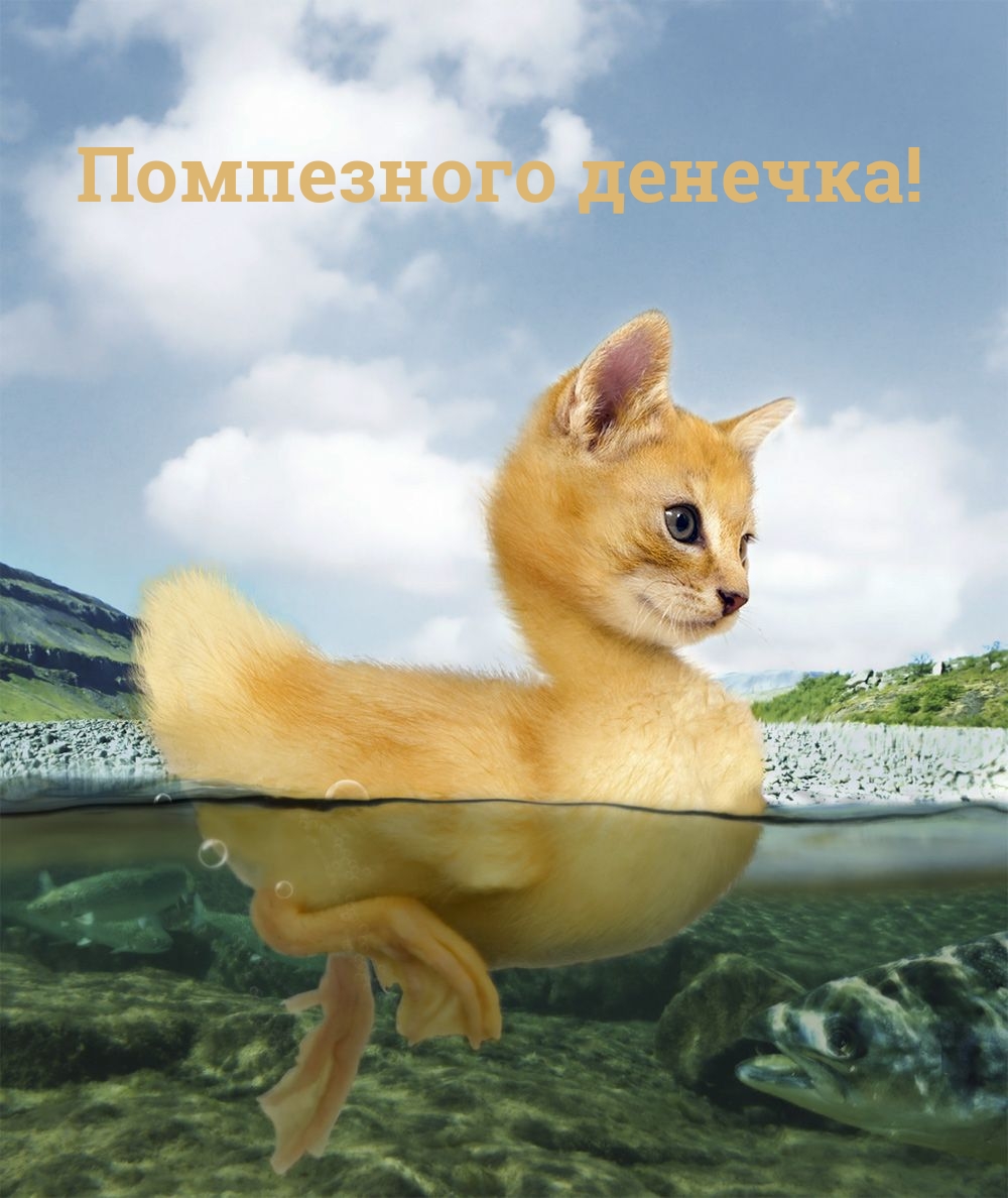 Помпезного денечка!