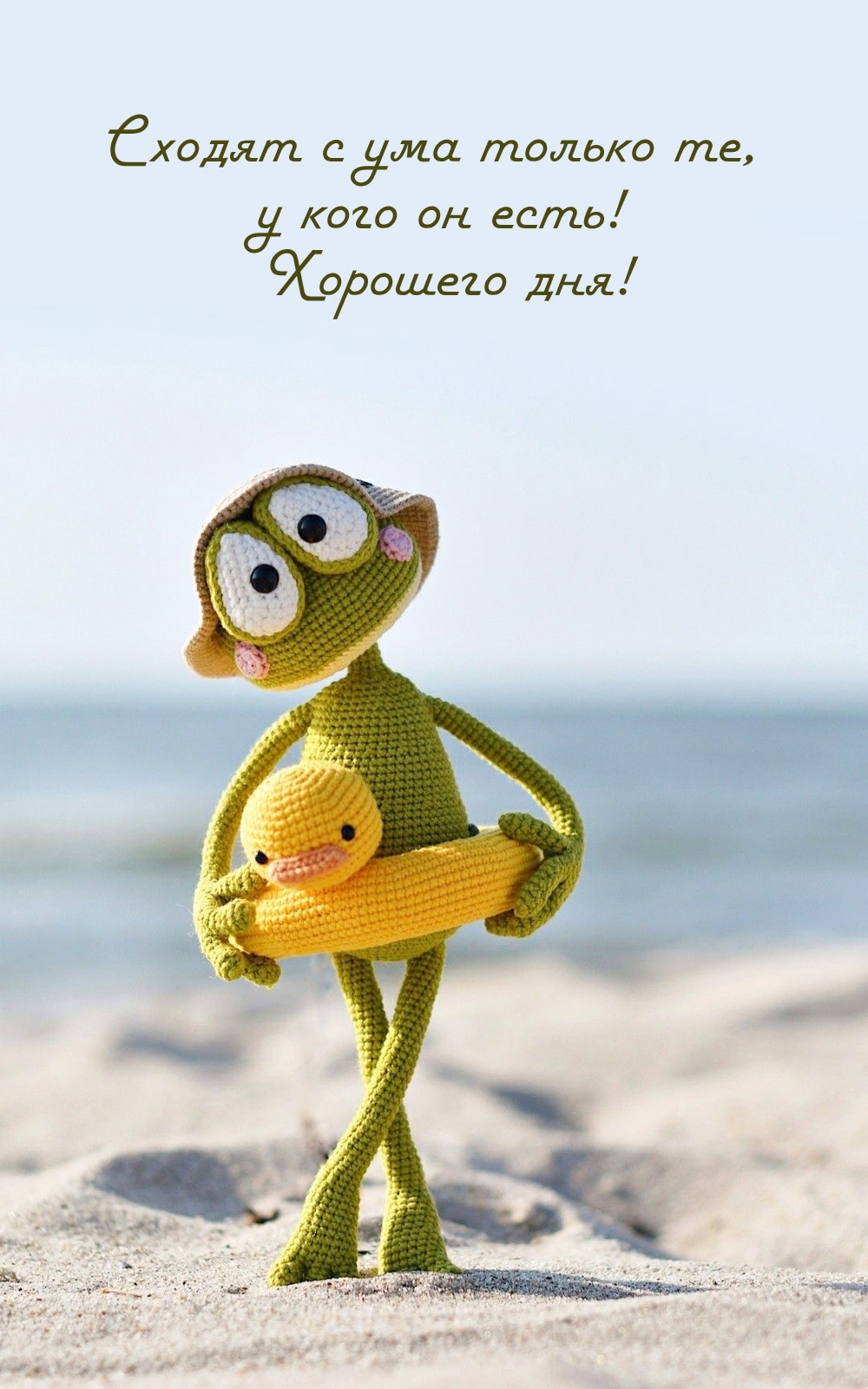 Сходят с ума только те, у кого он есть! Хорошего дня!
