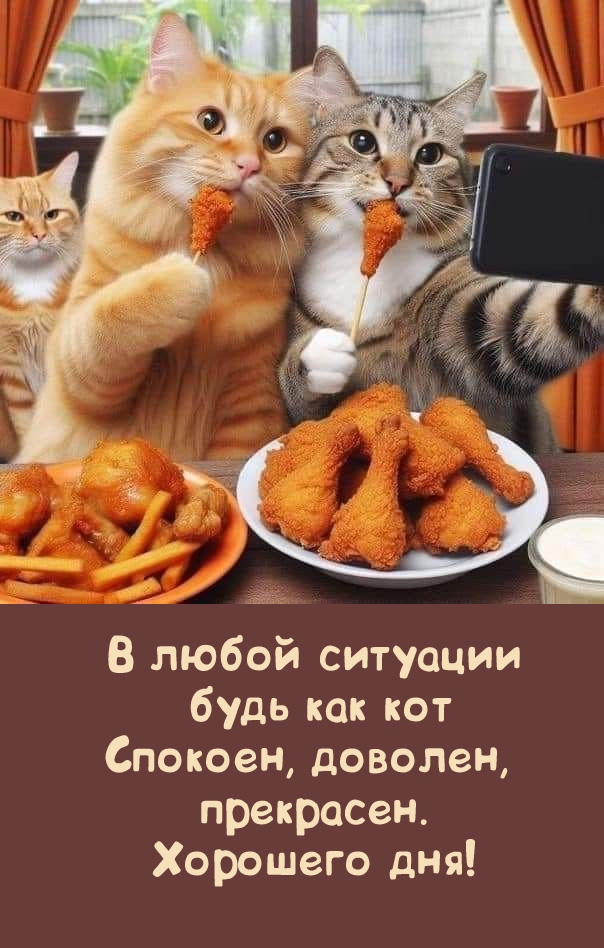 В любой ситуации будь как кот спокоен, доволен, прекрасен. Хорошего дня!