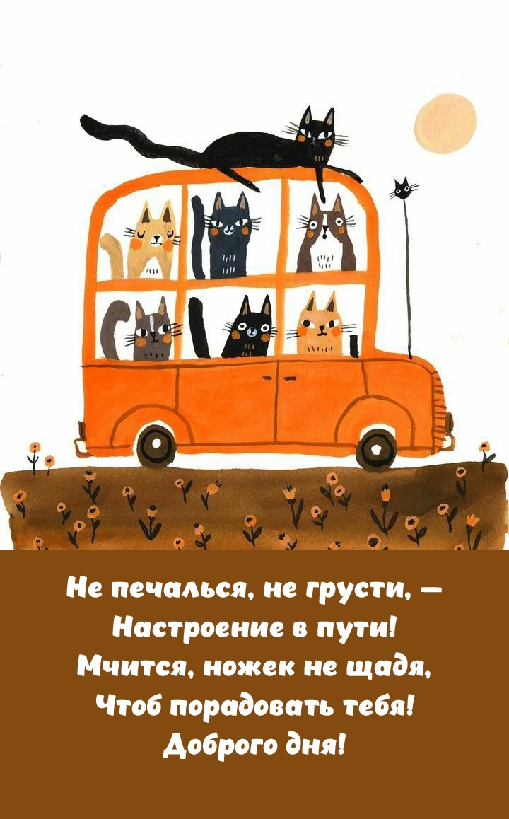 Доброго дня! Не печалься, не грусти, — настроение в пути!