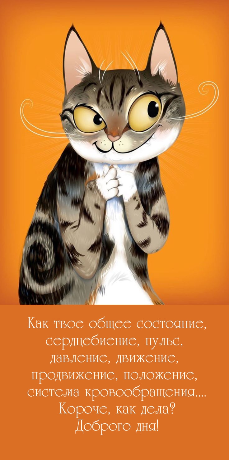 Доброго дня! Короче, как дела?